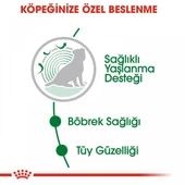 Royal Canin Mini Ageing 12+ Gravy Pouch Yaşlı Köpek Konserve Yaş Mama 85 Gr thumbnail 4