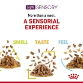 Royal Canin Sensory Taste Gravy Pouch Kedi Konserve Yaş Maması 85 Gr - 6