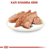 Royal Canin Persian Yaş Kedi Maması Pouch 85 Gr thumbnail 8