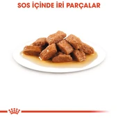 Royal Canin Medium Adult Orta Irk Yetişkin Köpekler İçin Parça Etli Konserve Yaş Mama Pouch 140 Gr thumbnail 8