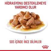 Royal Canın Dıgestıve Sensıtıve 85 Gr thumbnail 5