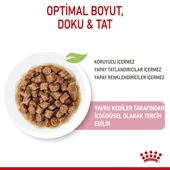Royal Canin Pouch Gravy Kitten Instinctive Yaş Yavru Kedi Maması 85 Gr thumbnail 6