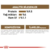 Royal Canin Ageing 12+ Gravy Pouch Yaşlı Kedi Yaş Maması 85 Gr thumbnail 4