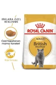 British Shorthair Adult Yetişkin Kedi Maması 4 kg thumbnail 1