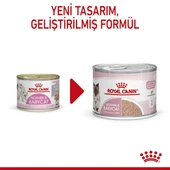 Royal Canin Mother&Babycat Anne ve Yavru Yaş Konserve Mama 195 Gr thumbnail 5
