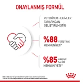 Royal Canin Mini Puppy Pouch Konserve Yavru Köpek Yaş Maması 85 Gr thumbnail 9