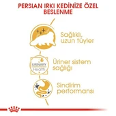 Royal Canin Persian Yaş Kedi Maması Pouch 85 Gr thumbnail 4