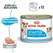 Royal Canin Starter Mousse Anne ve Yavru Köpek Konserve Maması 195 Gr thumbnail 1