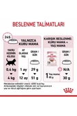 Kitten Yavru Kedi Maması -2 Kg thumbnail 7