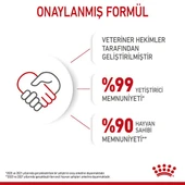 Royal Canin Kitten Jelly Pouch Yavru Kedi Konserve Yaş Maması 85 Gr thumbnail 5