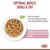 Royal Canin Kitten Jelly Pouch Yavru Kedi Konserve Yaş Maması 85 Gr thumbnail 7