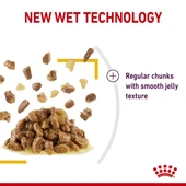 Royal Canin Sensory Taste Gravy Pouch Kedi Konserve Yaş Maması 85 Gr - 7