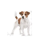 Royal Canin Mini Adult Gravy Küçük Irk Yetişkin Pouch Köpek Konserve Yaş Maması 85 Gr - 3