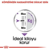 Royal Canin CCN Mini Sterilised Adult Kısırlaştırılmış Köpek Pouch Konserve Yaş Mama 85 Gr - 7