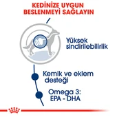 Royal Canin Maxi Adult Büyük Irk Yetişkin Köpekler İçin Parça Etli Konserve Yaş Mama Pouch 140 Gr thumbnail 5