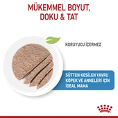 Royal Canin Starter Mousse Anne ve Yavru Köpek Konserve Maması 195 Gr thumbnail 8