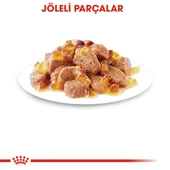 Royal Canin Sterilised Jelly Kısırlaştırılmış Kedi Konserve Yaş Maması Pouch 85 gr thumbnail 4