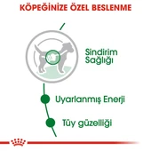 Royal Canin Mini Adult Gravy Küçük Irk Yetişkin Pouch Köpek Konserve Yaş Maması 85 Gr - 6
