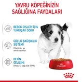Royal Canin Mini Puppy Pouch Konserve Yavru Köpek Yaş Maması 85 Gr thumbnail 4
