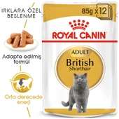 Royal Canin British Shorthair Yaş Kedi Maması Pouch 85gr - 1