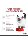 KITTEN- Yavru Kedi Maması- 4 KG thumbnail 4