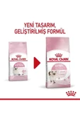 KITTEN- Yavru Kedi Maması- 4 KG thumbnail 7
