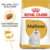 Royal Canin Maltese Adult Yetişkin Köpek Maması 1,5 Kg - 1