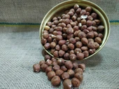 GURMEKENT FINDIK ÇİĞ 500GR - 1