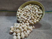 GURMEKENT KAVRULMUŞ FINDIK 500GR - 1