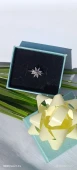 ÇOK YAPRAKLI LOTUS ÇİÇEĞİ - 2