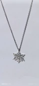 ÇOK YAPRAKLI LOTUS ÇİÇEĞİ - 4