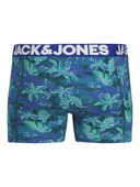 Jack Jones Rtapıcal Flower 3 Lü Paket Erkek Boxer 12285155 - 3