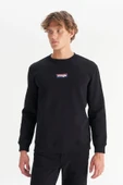 Wrangler Erkek Mid Logo Sweatshirt W2520133001 - 1