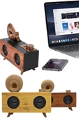 Gramafon Nostaljik Radyo Yüksek Ses Kalitesi USB TF Kart Aux - 4