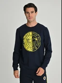 Fenerbahçe S.K. 25/26 Sezon Tribün Tek Renk Logolu Erkek Sweatshirt - 2