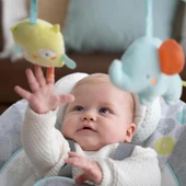 Ingenuity Swing'n Go Taşınabilir Salıncak - 3