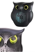 Bluetooth Hoparlör TWS Kablosuz RGB Işıklı Dekoratif Taşınabilir Baykuş - 4