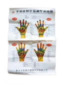 El Maketi Akupunktur Noktaları 835 thumbnail 3