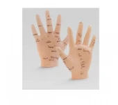 El Maketi Akupunktur Noktaları 835 thumbnail 1