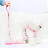 Evcil Hayvan Peluş Ayıcıklı Göğüs Gezdirme Tasması Set - 3