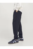 Jack Jones Gordon Estar Erkek Eşofman Altı 12248838 - 12