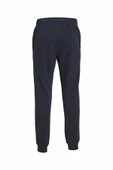 Jack Jones Gordon Estar Erkek Eşofman Altı 12248838 - 5