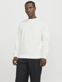 Jack Jones Bradley Erkek Sweat 12249341 thumbnail 1