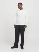 Jack Jones Bradley Erkek Sweat 12249341 thumbnail 2