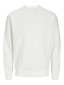 Jack Jones Bradley Erkek Sweat 12249341 thumbnail 5