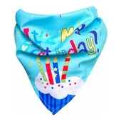 Köpekler İçin Doğum Günü Partisi Seti - 4