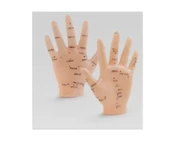 El Maketi Akupunktur Noktaları 835 thumbnail 1