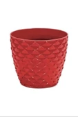 Kapadokya Saksı 1 No 0,5 Lt. Royaleks-kap1 - 1