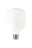 25 WATT TORCH LED AMPUL - 1