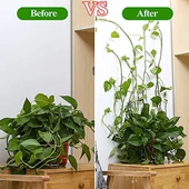 Sarmaşık ve Kablo Düzenleyici Çok Amaçlı Klips 10 Adet thumbnail 4